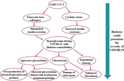 Diabetes Might Augment the Severity of COVID-19: A Current Prospects